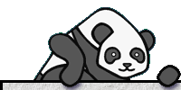 funky panda productions